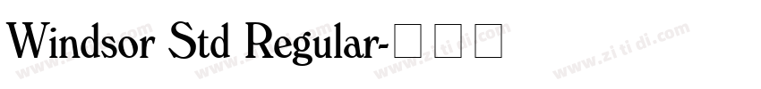 Windsor Std Regular字体转换